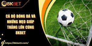 Cá Độ Bóng Đá Và Những Mẹo Giúp Thắng Lớn Cùng 8KBET
