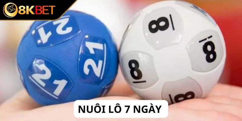 Sơ lược chung về nuôi lô 7 ngày