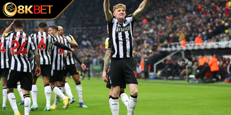 Tình hình đội bóng Newcastle United